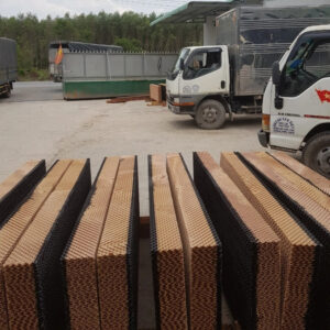 tam-lam-mat-cooling-pad-cho-tran