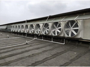 Quạt thông gió Vuông trực tiếp cánh Composite chịu ăn mòn ST Vina3